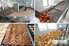 食品生產(chǎn)實習總結(jié)