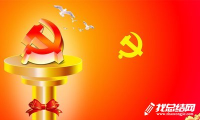 最新黨員年終總結