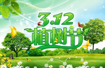 植樹(shù)節(jié)活動(dòng)總結(jié)范文_2020年植樹(shù)節(jié)活動(dòng)總結(jié)大全