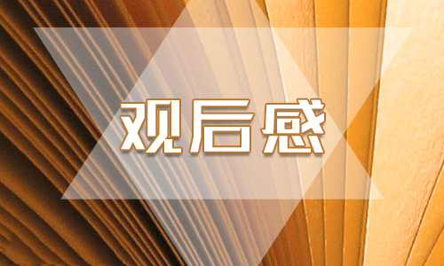 2020感動中國人物黃文秀事跡個人心得體會5篇